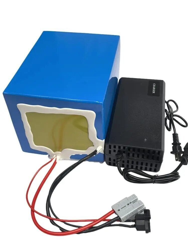 72V 大容量リチウムイオンバッテリー BMS 40Ah-1 - 72V 30Ah Lifepo4 Battery Pack のレビューと価格