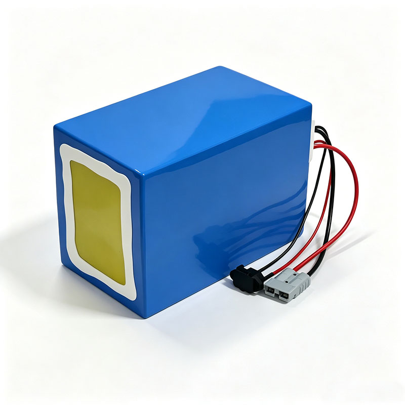 リチウム LiFePO4 72V 50Ah 60Ah 40A - 72V 30Ah Lifepo4 Battery Pack のレビューと価格